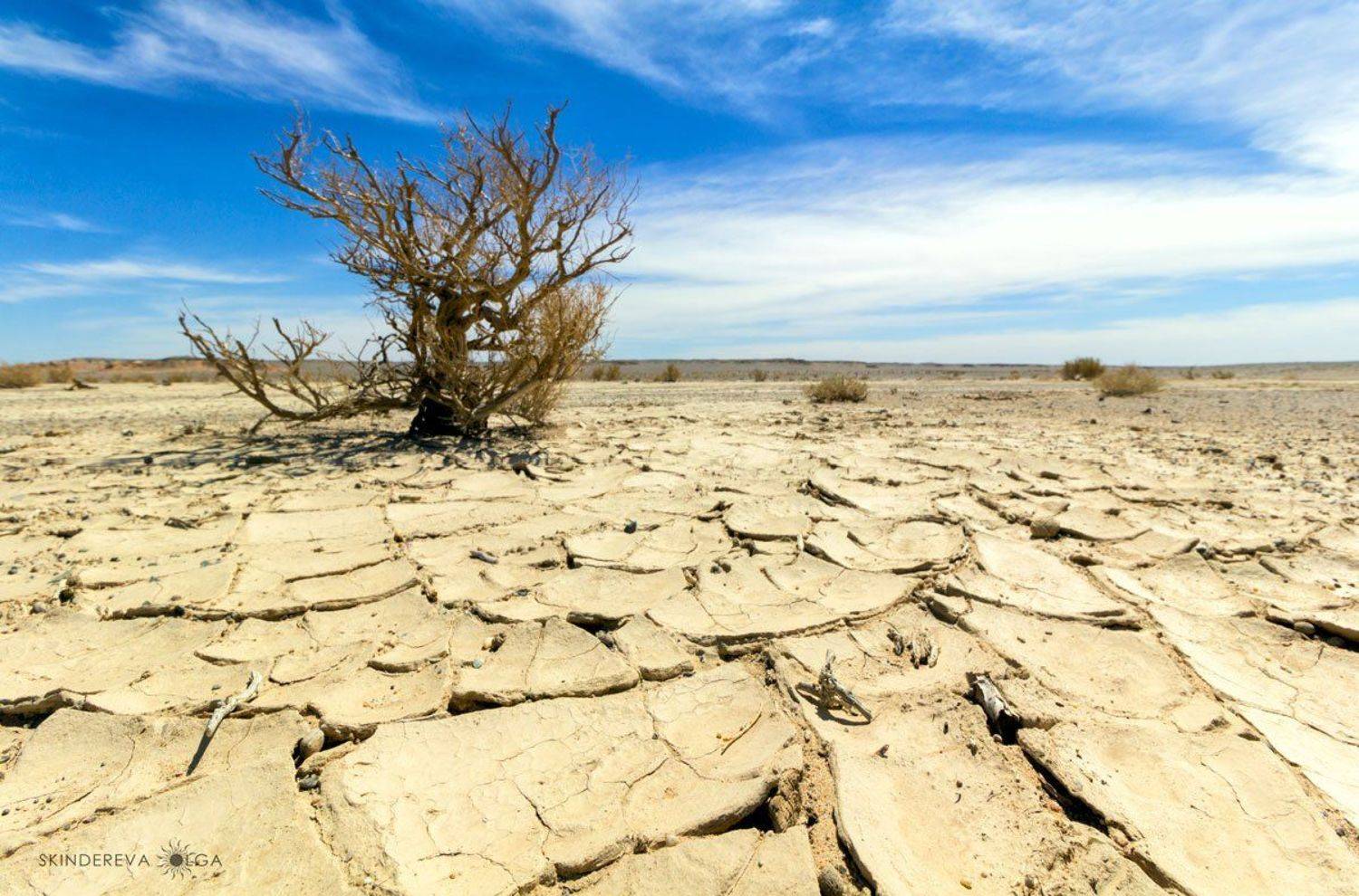 Монголия, пейзаж, засуха, Скиндерева Ольга