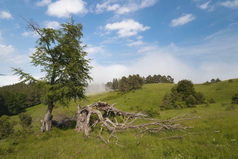 О Жизни и не очень о Ней... фото превью