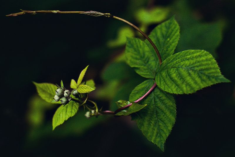 Природа  фото превью