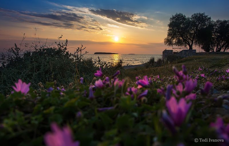 Sunset фото превью