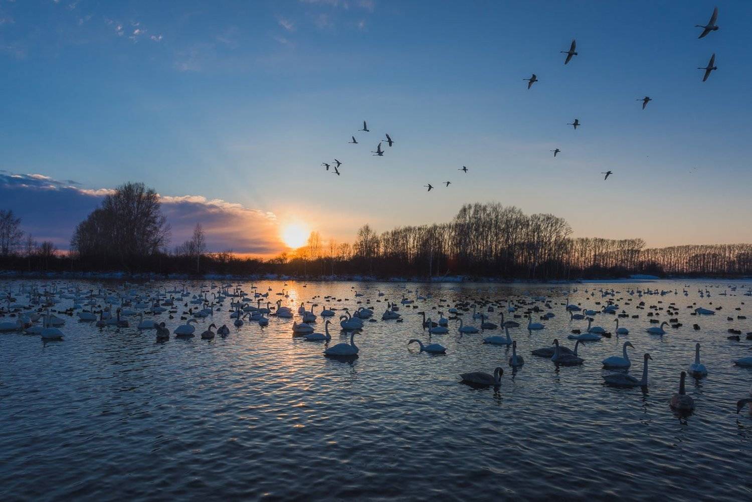 , Роман Карамышев