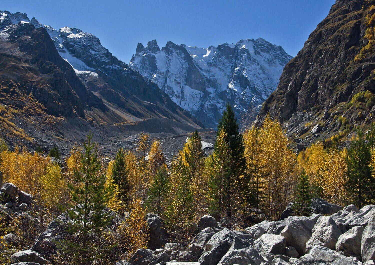 , Хасан Журтов