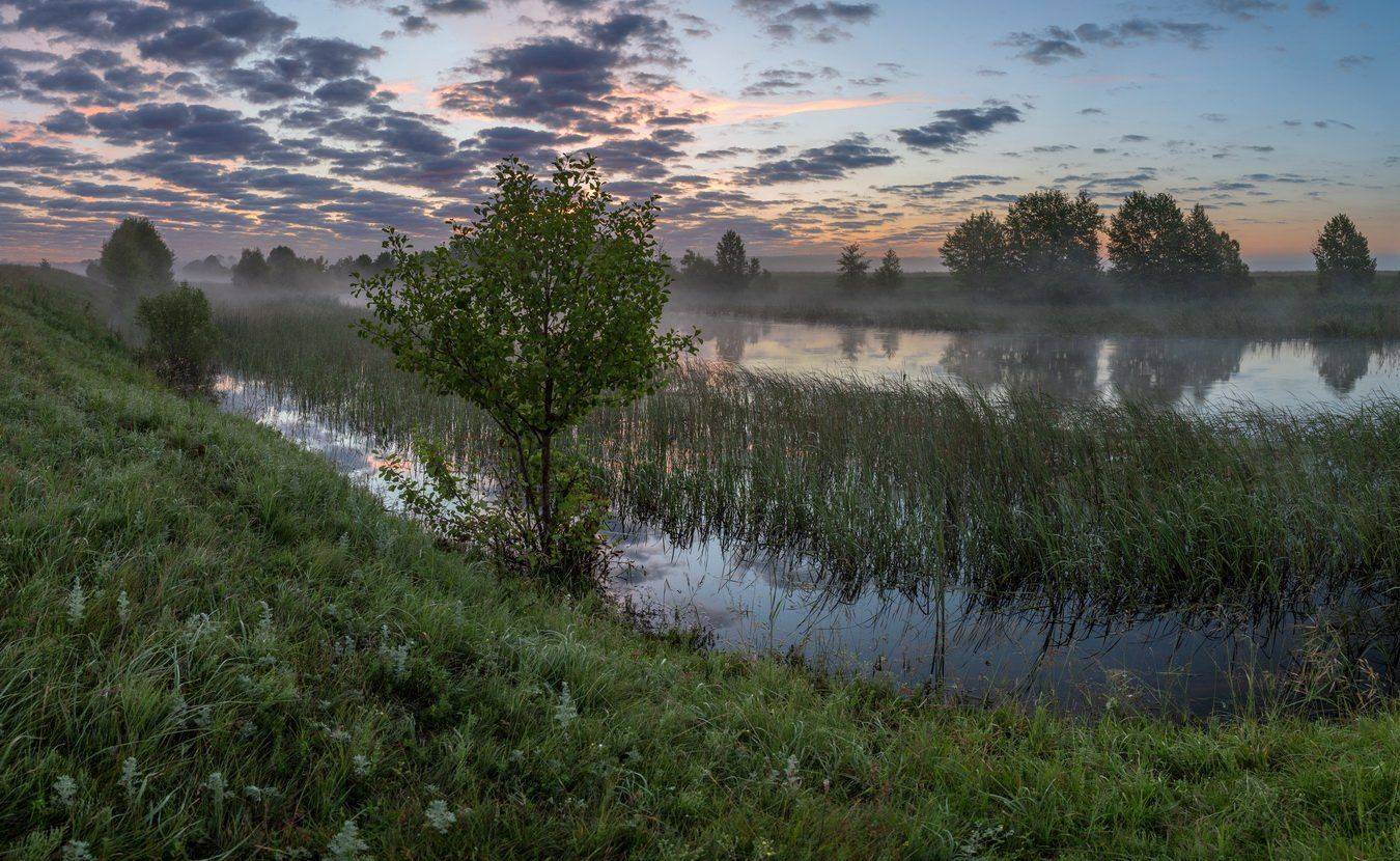 , Александр Бредихин