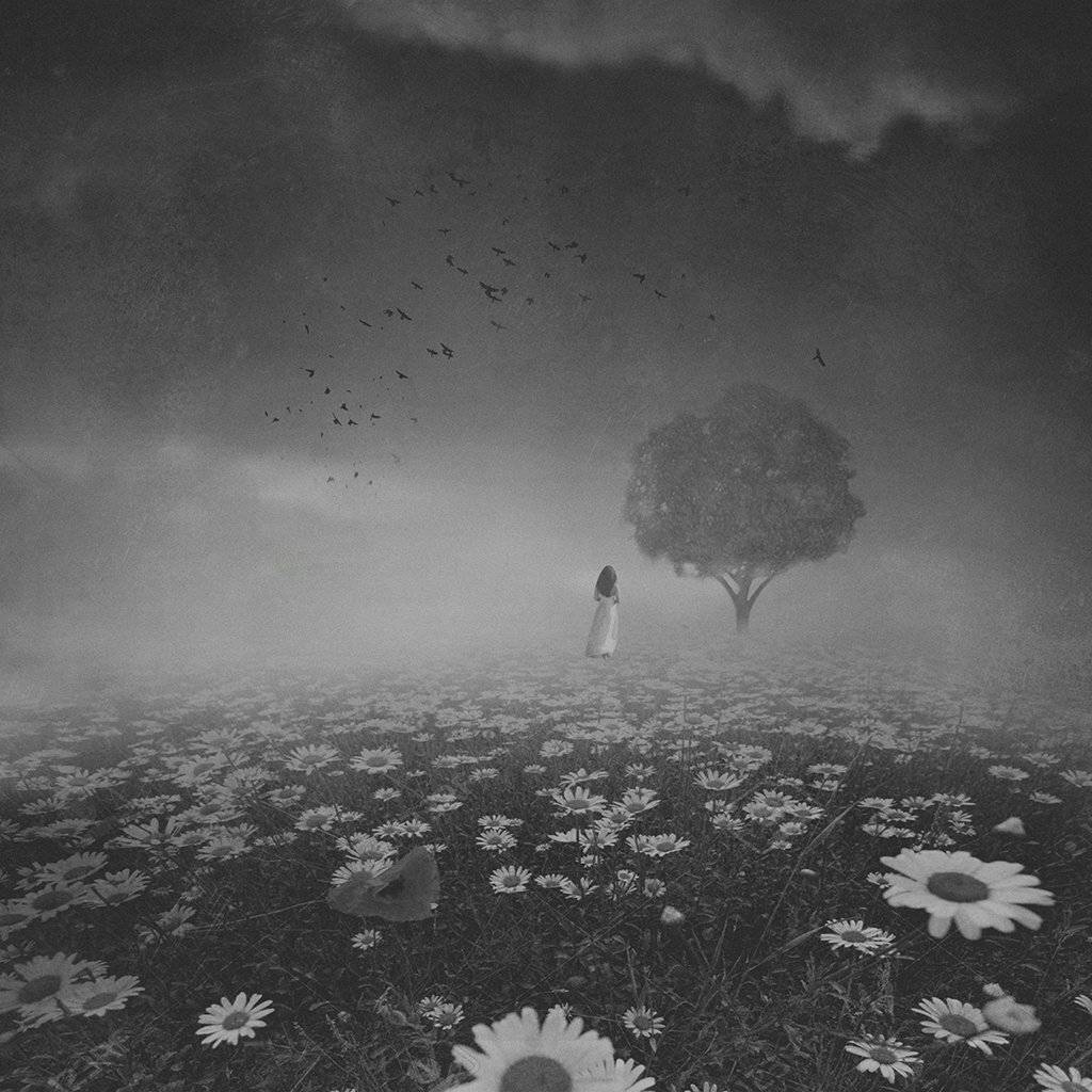 , Рублёв Дмитрий