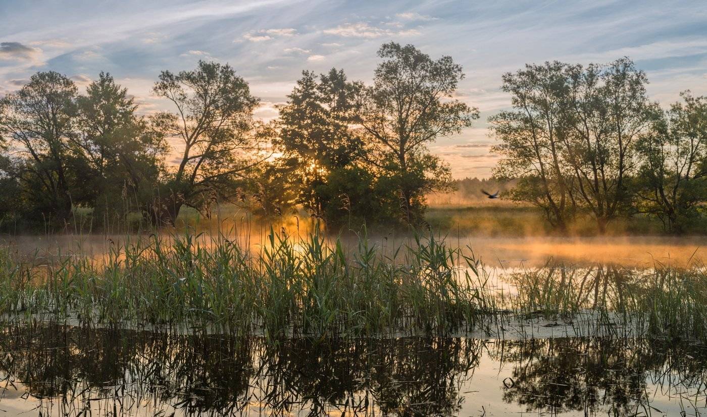 , Александр Бредихин