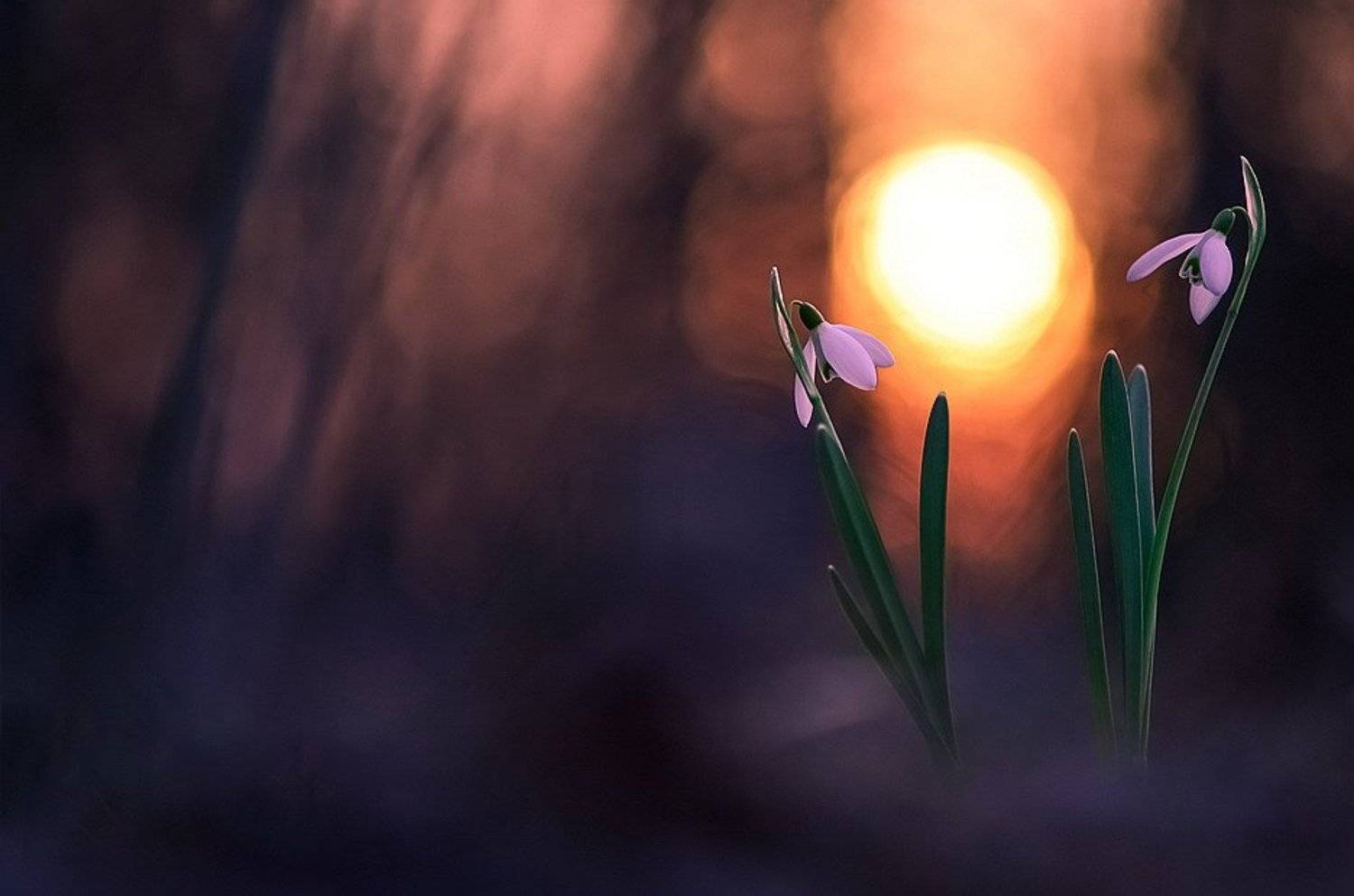 , Вячеслав Мищенко