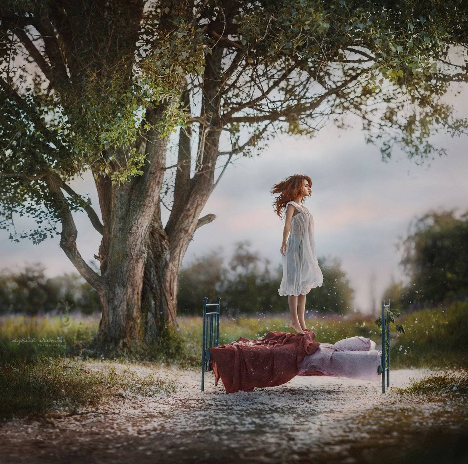 bed, dream, people, portrait, jump, dzhulirina, irinadzhul, tree, Ирина Джуль