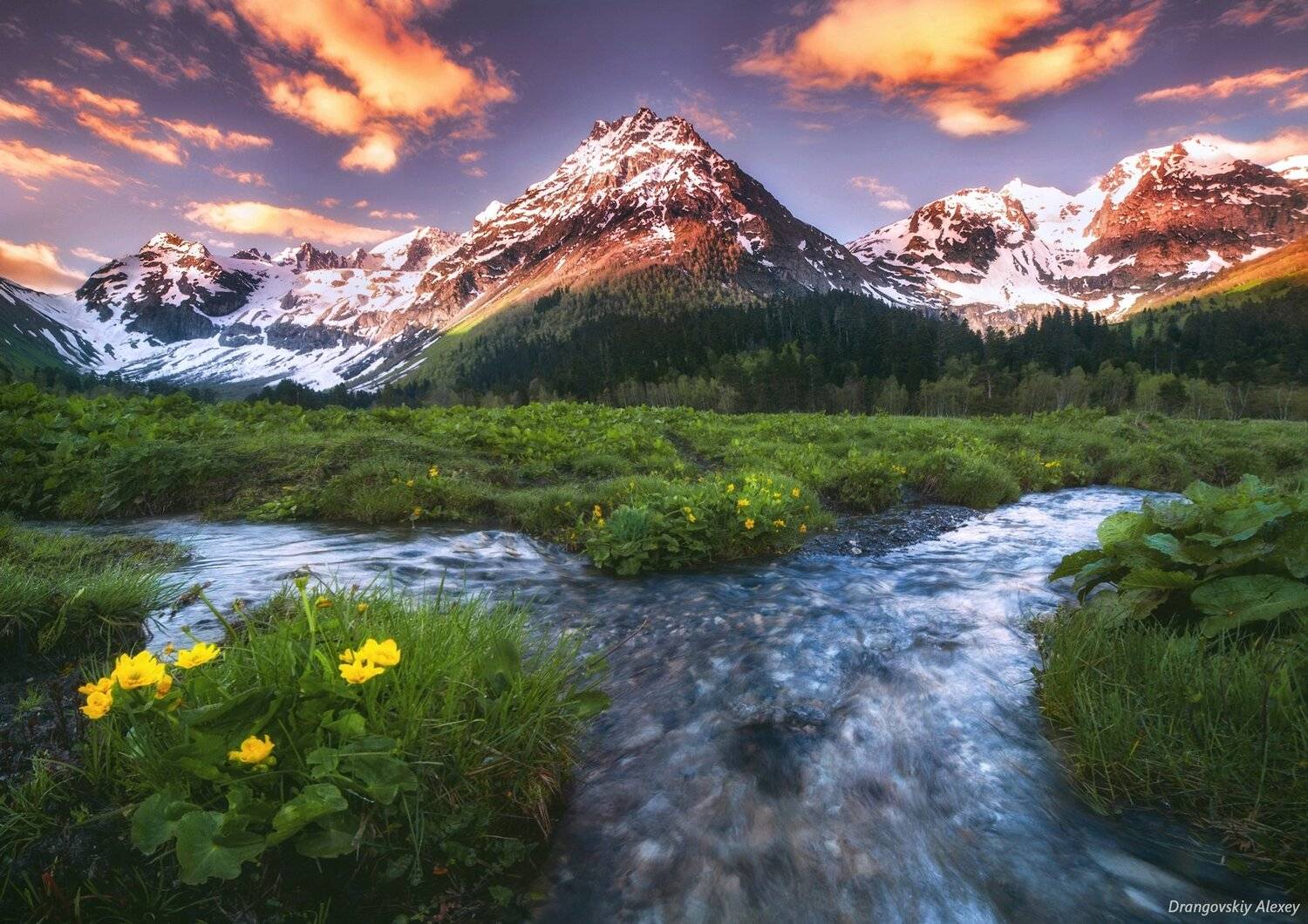 , Алексей Дранговский