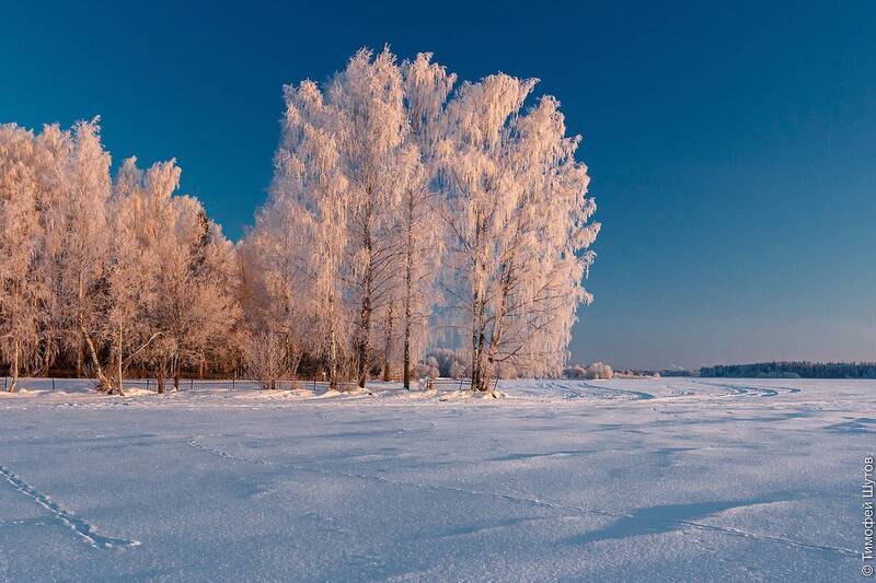 валдай Морозное утро на Валдайском озере фото превью