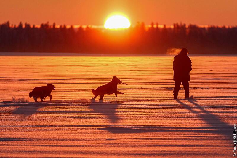 валдай Утренняя прогулка фото превью
