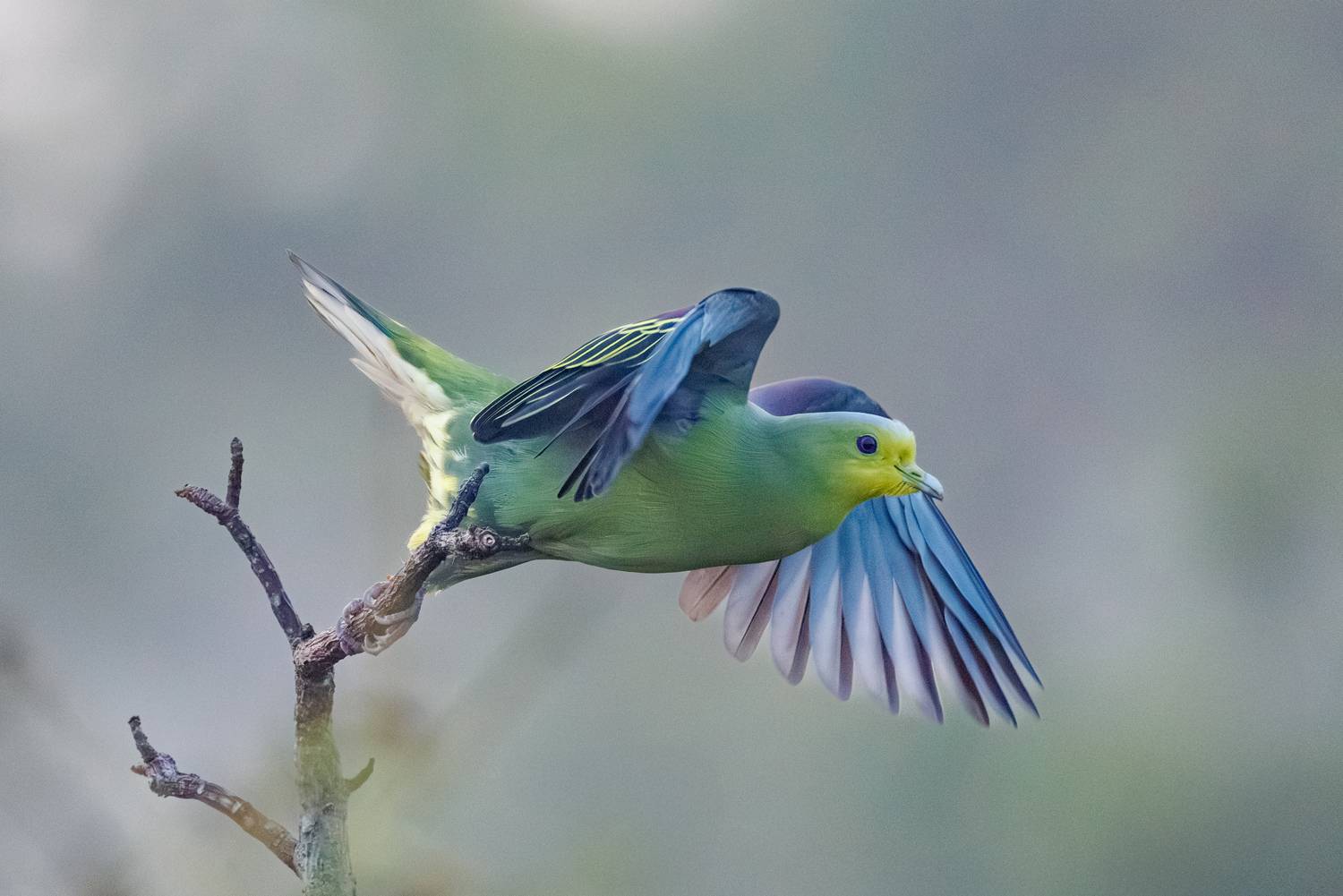 , ssmirs Сергей