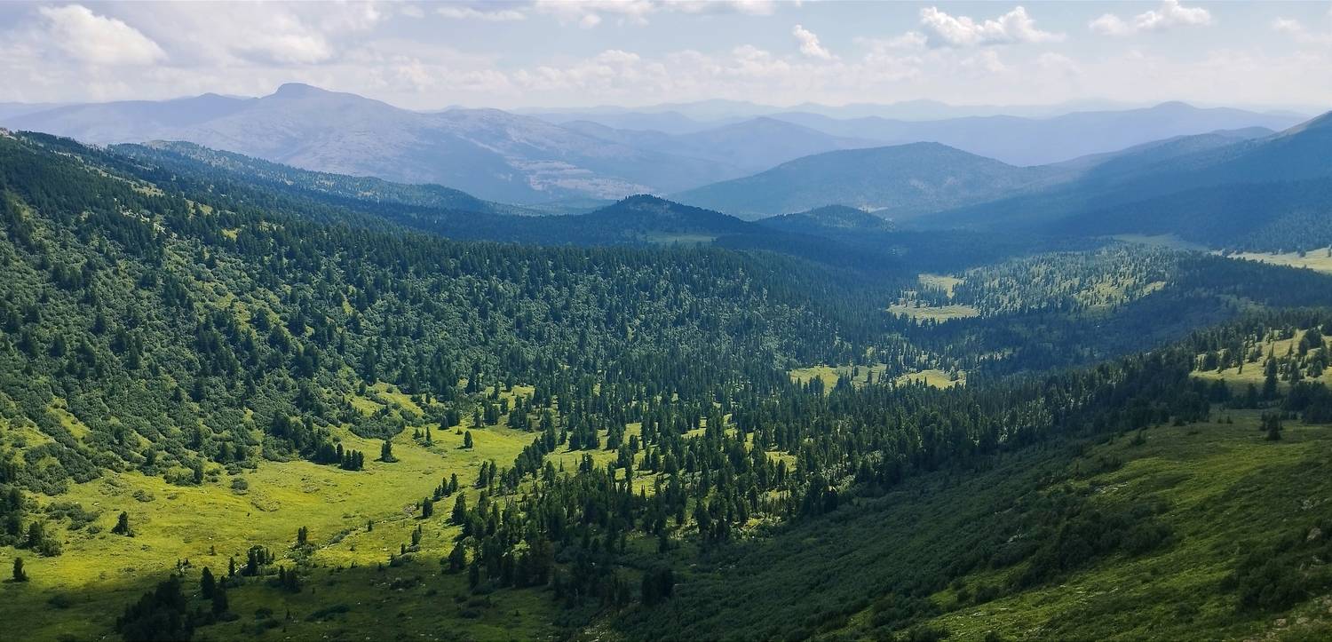 , Алексей Никонов