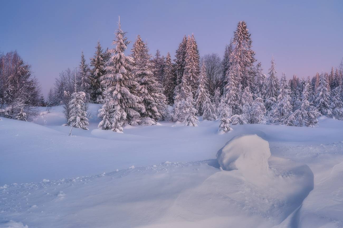, Михаил Устюжанин