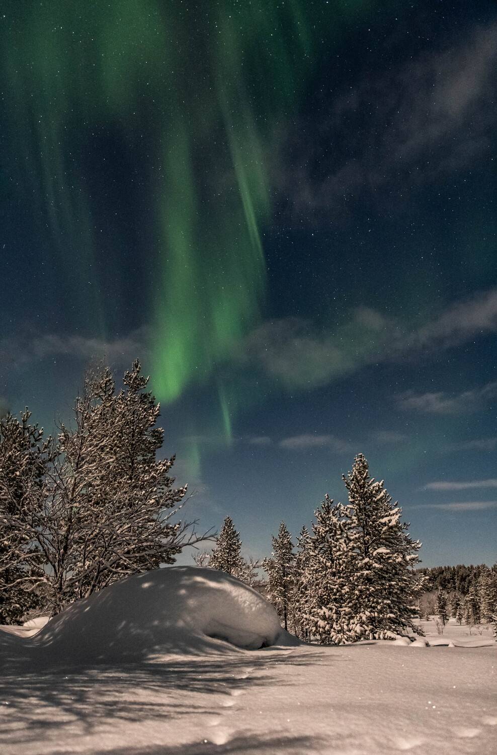 , Сергей Каверин