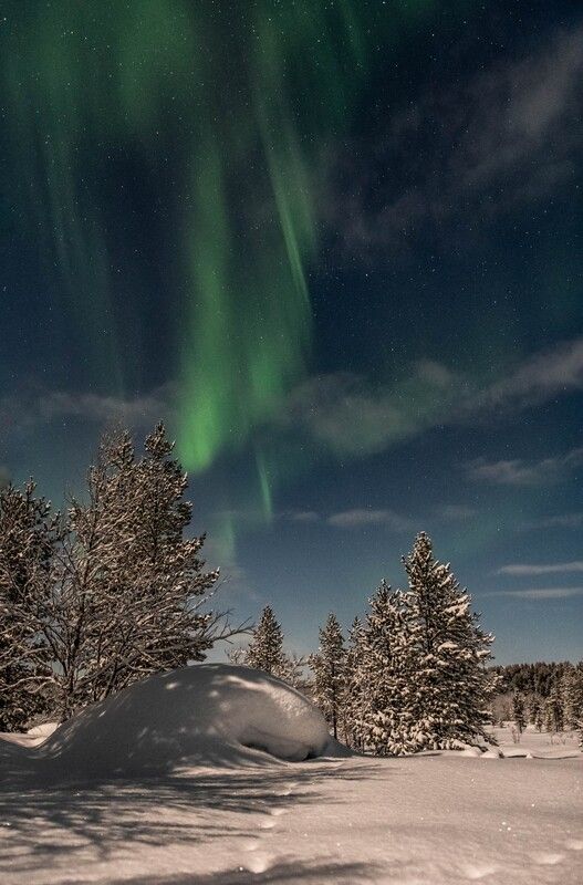 В полнолуние фото превью