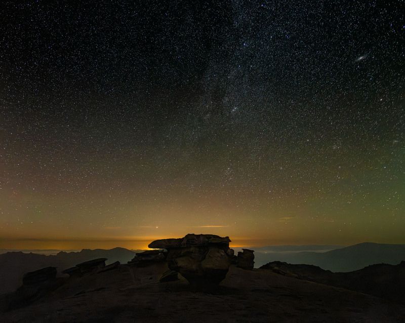 Поляна каменных грибов фото превью