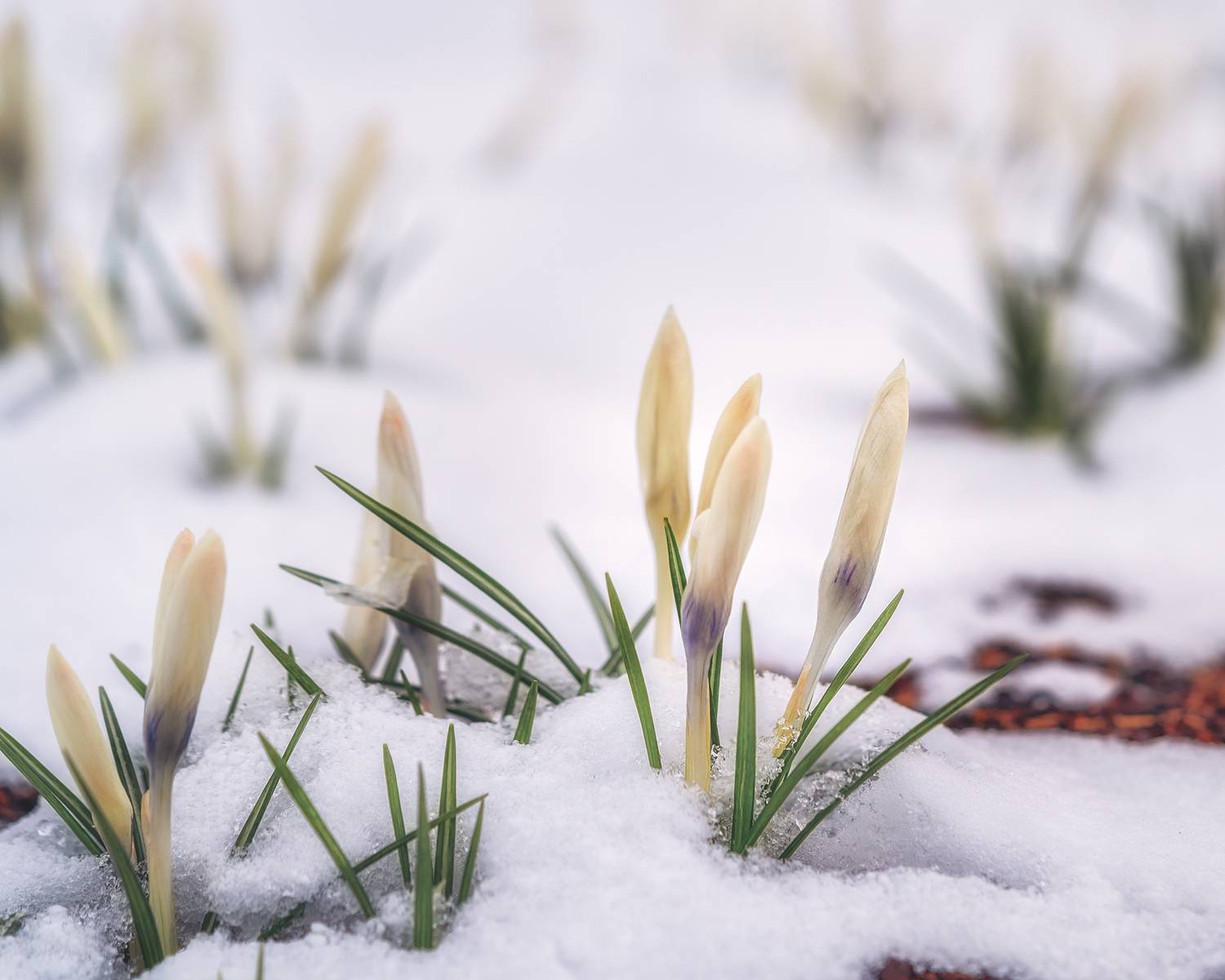 , Людмила Завьялова