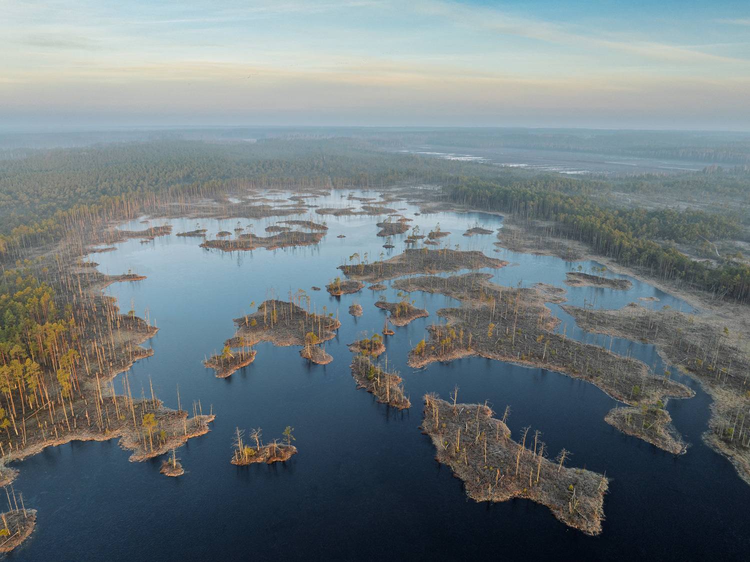 , Гордон Николай