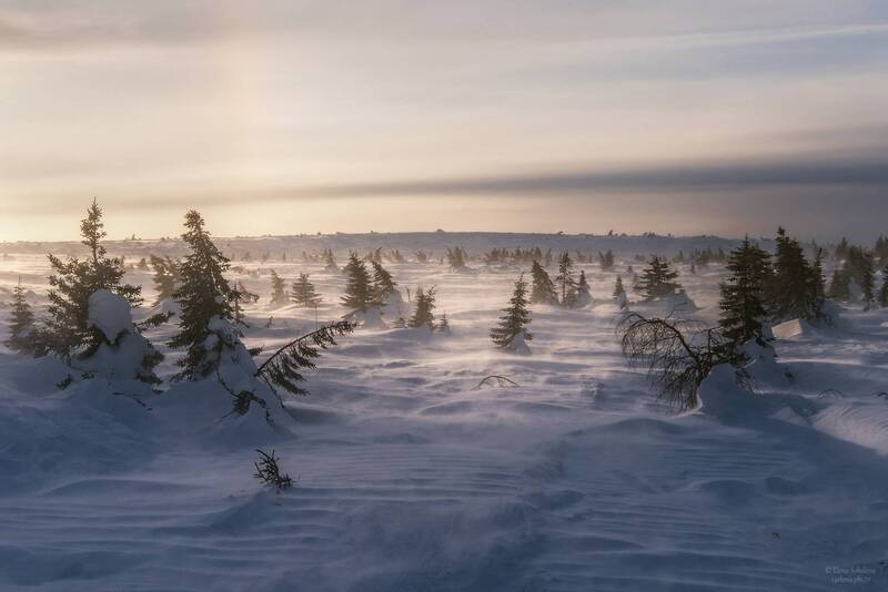 Поземка фото превью