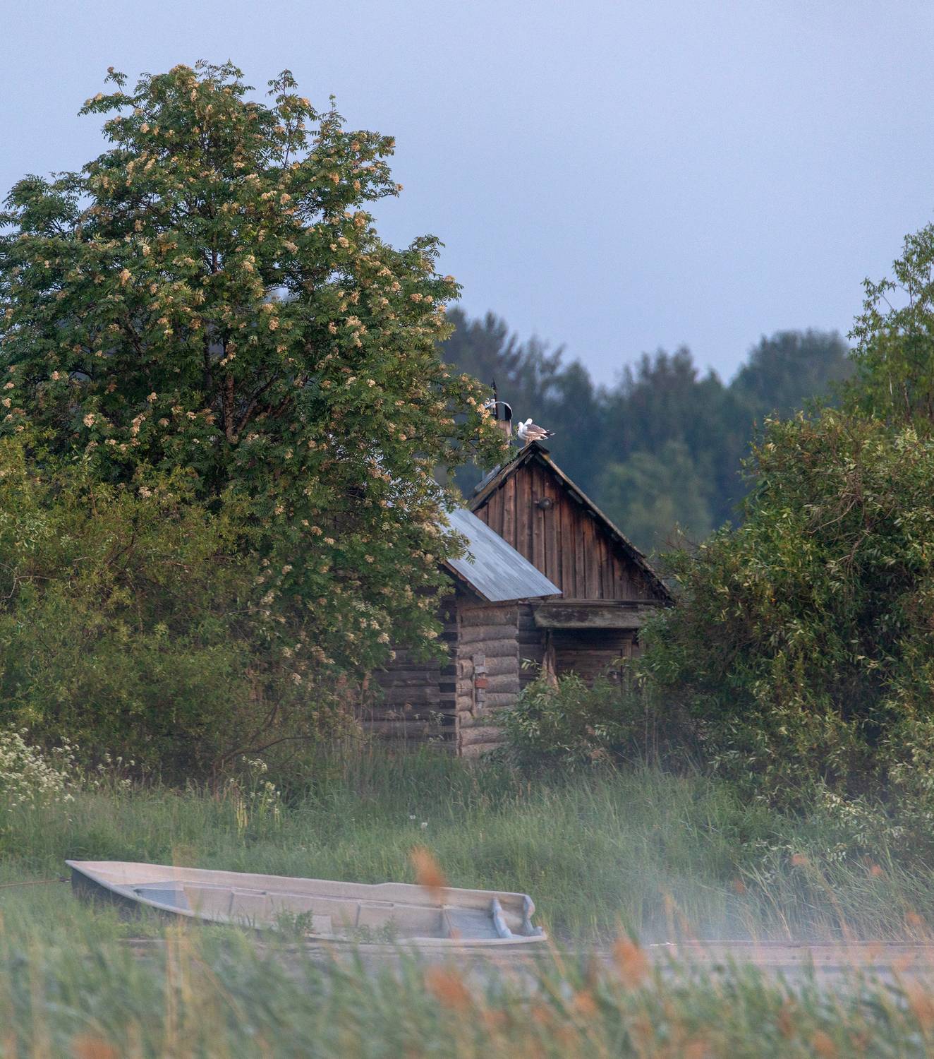 деревня, баня, лодка, утро, север, рассвет, природа, пейзаж, Павел Ващенков