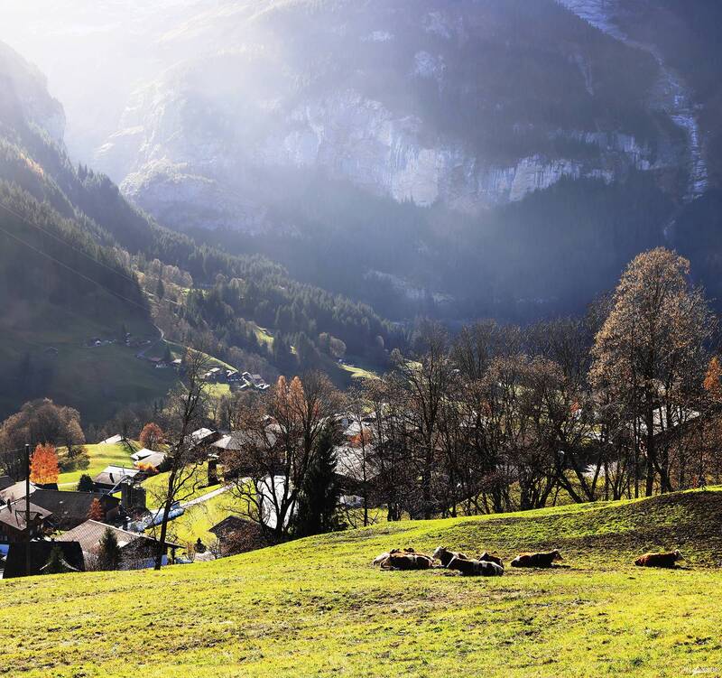 swiss Утро в ущелье.. фото превью