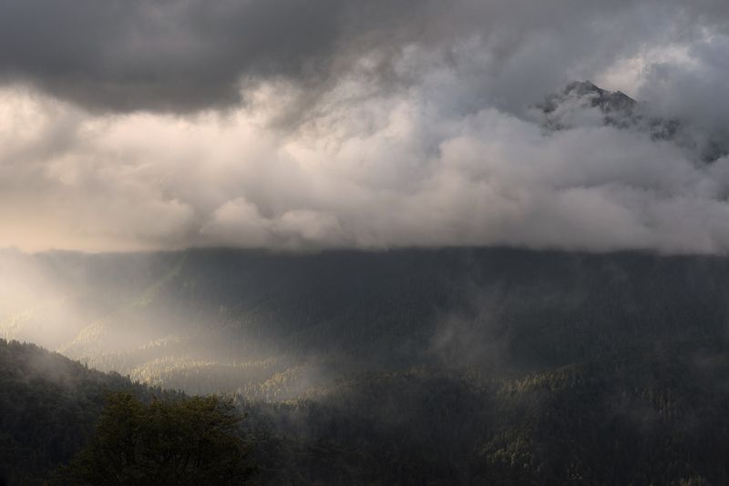 красная поляна, сочи, краснодарский край Струящийся свет фото превью