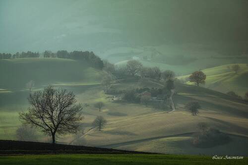 Marche countryside
