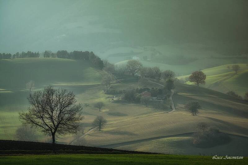 rural, nature, landscape, trees, fields, italy, marche, region Marche countryside фото превью