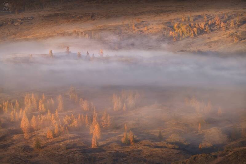алтай, фототур по алтаю, осень, горы, горный алтай, республика алтай, курай ПО ХОЛМАМ ТУМАН фото превью