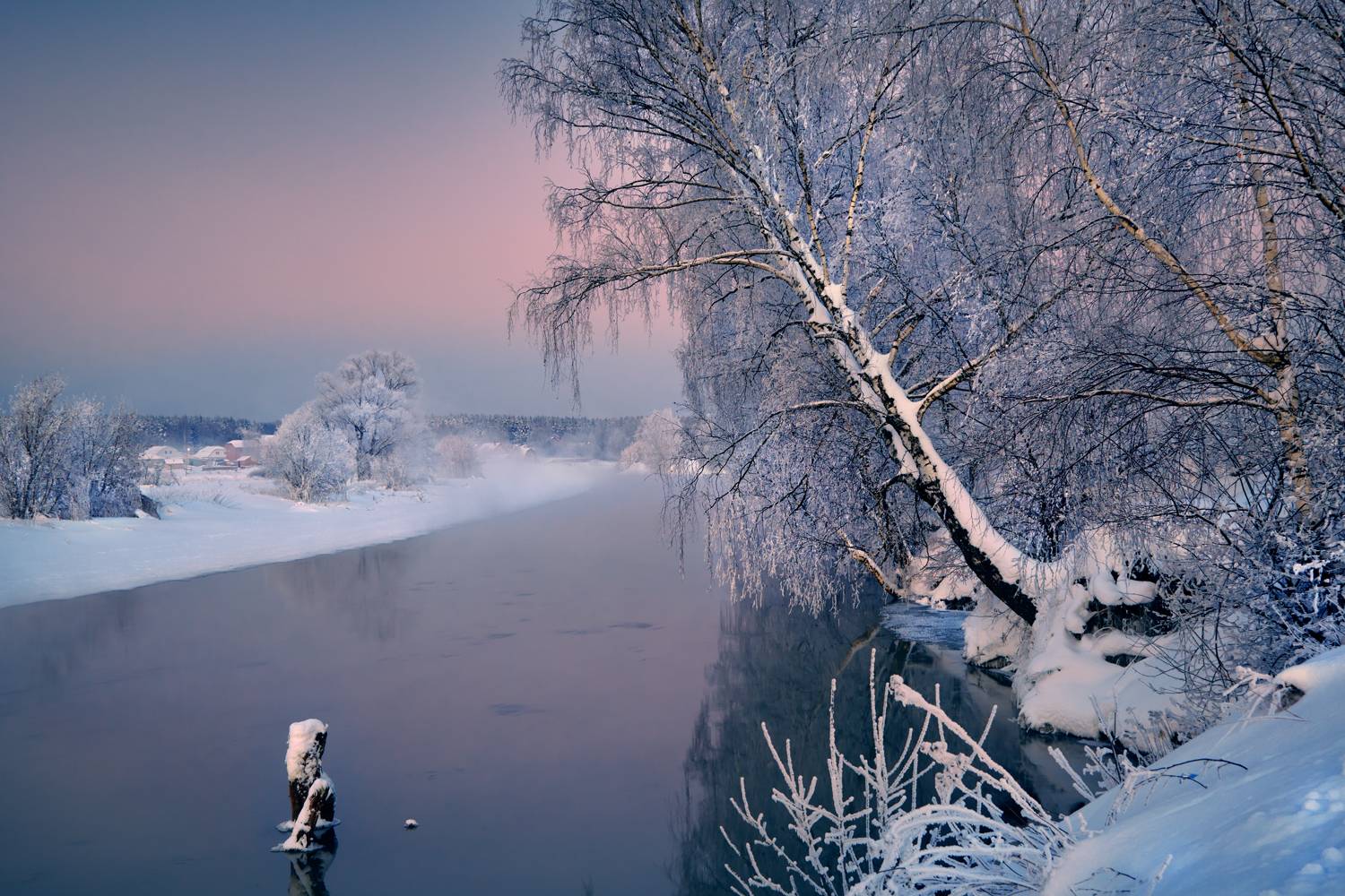 , Роман Лушпа