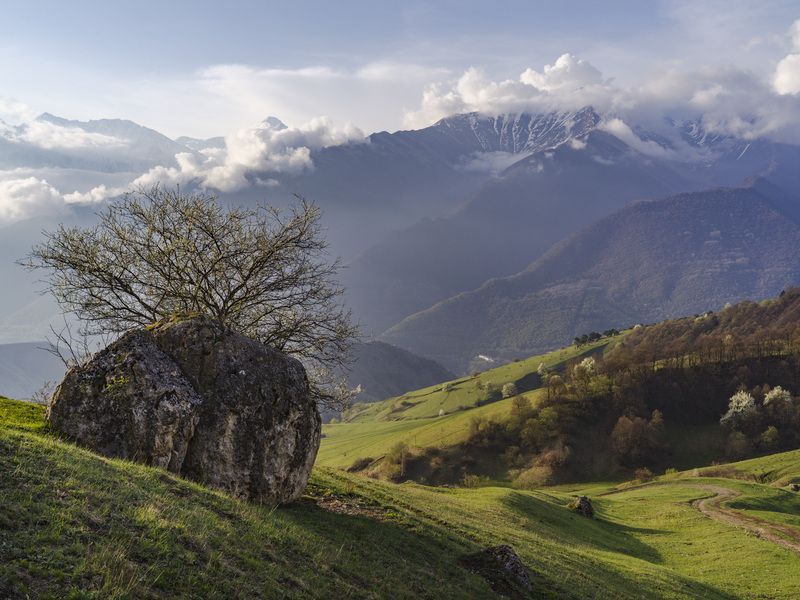 --- фото превью