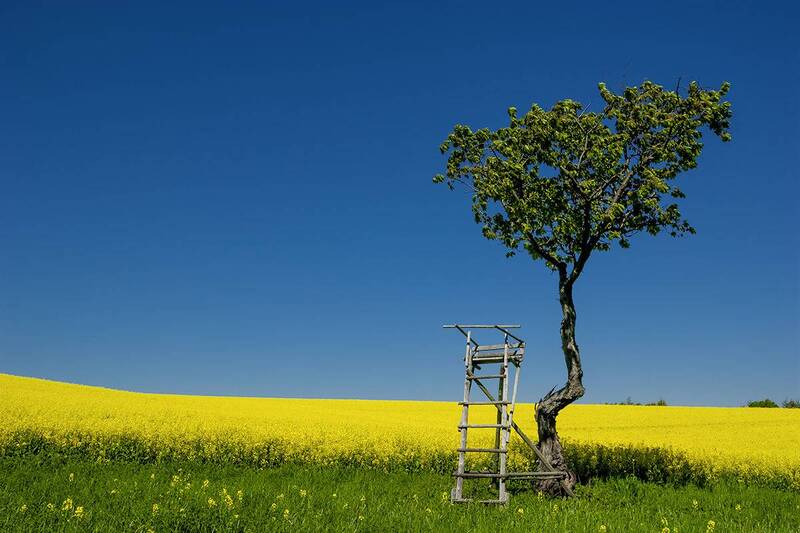 Весна фото превью