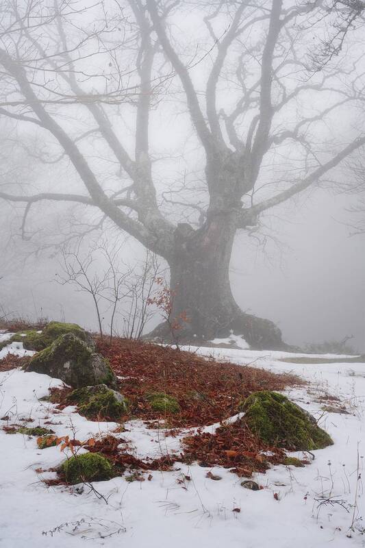 Крым фото превью
