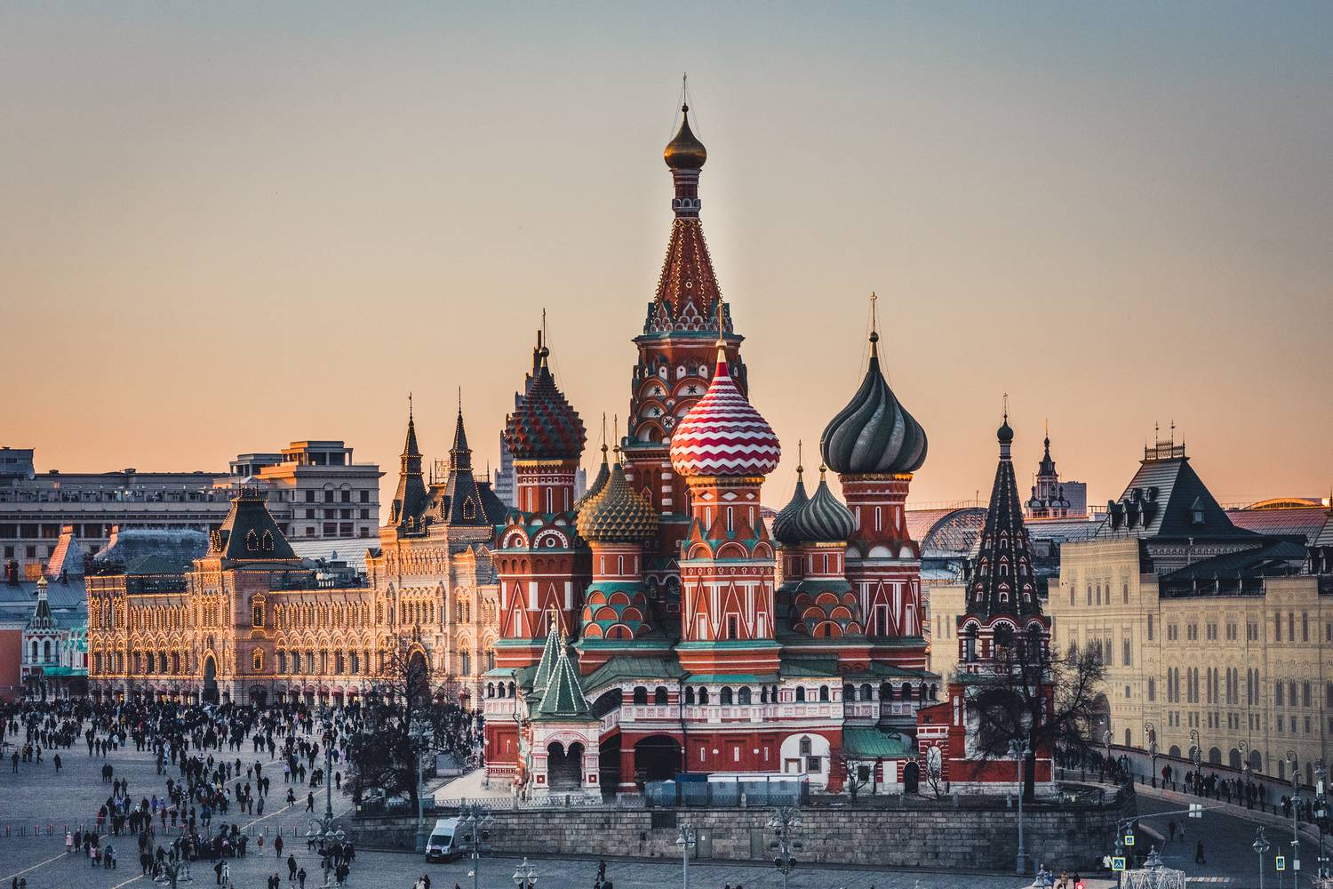 , Трепольский Дмитрий