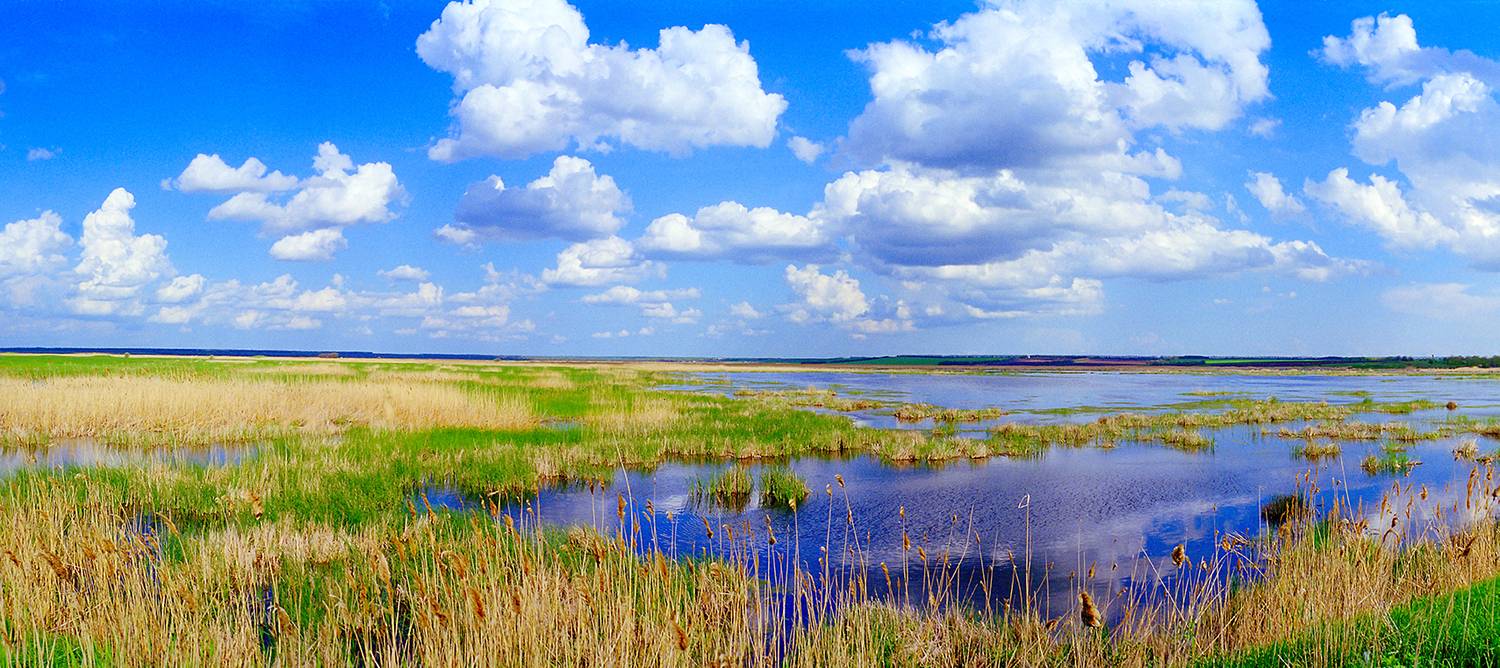 , Андрей Петросян