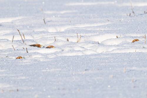 Неужели нас заметили?