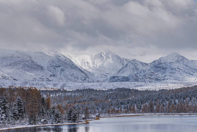 Киделю фото превью