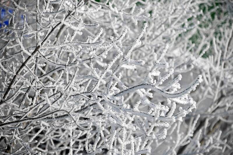 Ажурная зима фото превью