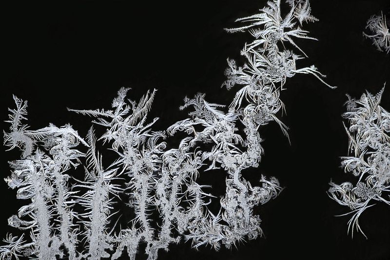 макро, иней, мороз, зима Художник Мороз фото превью