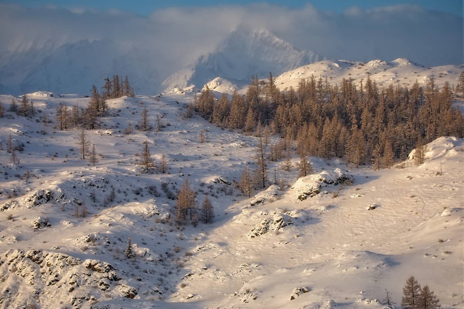 , Игорь Щербаков