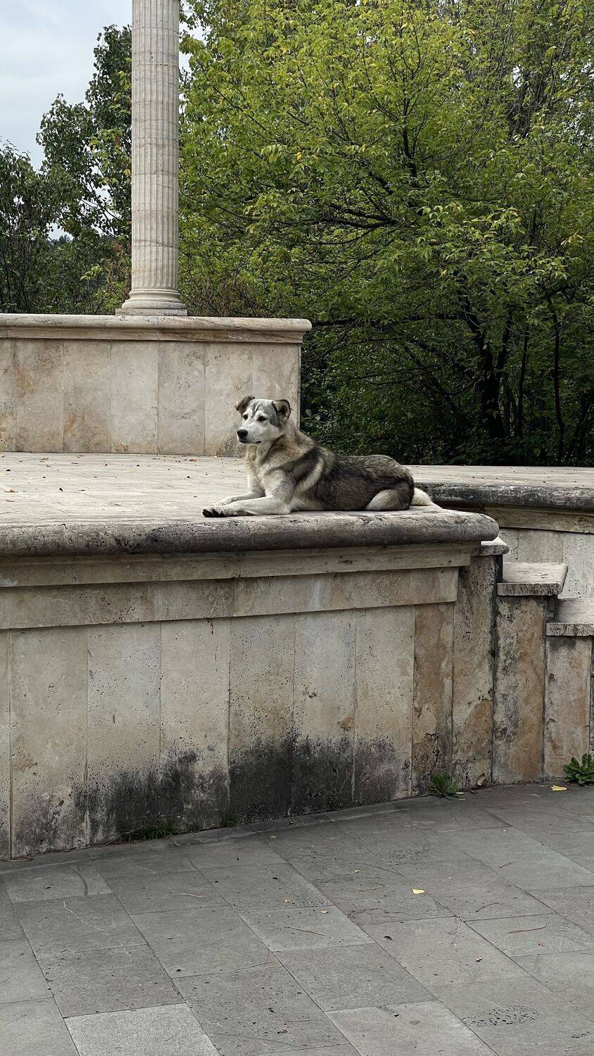 , Рузанна Гюрджян