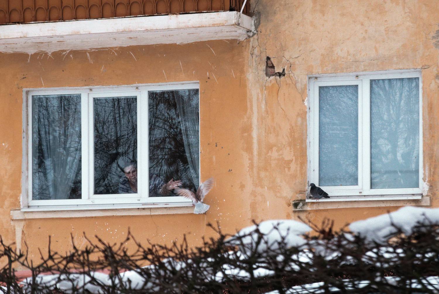 , Какоткин Роман