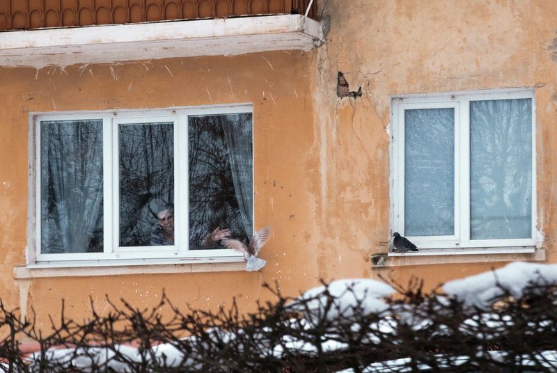 Дама отгоняет голубя фото превью