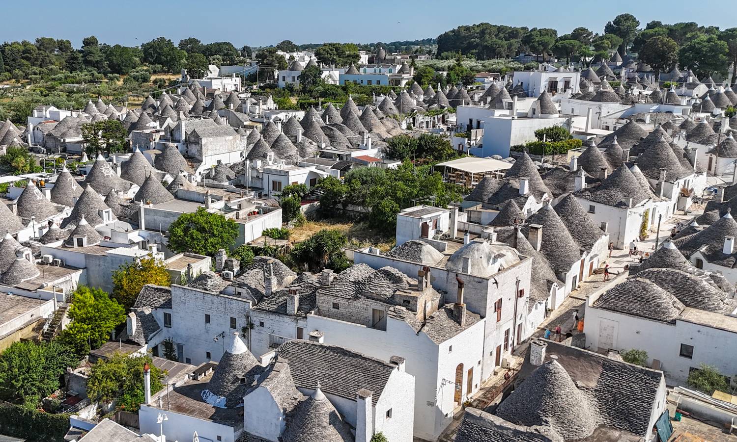 , Дария Максимова