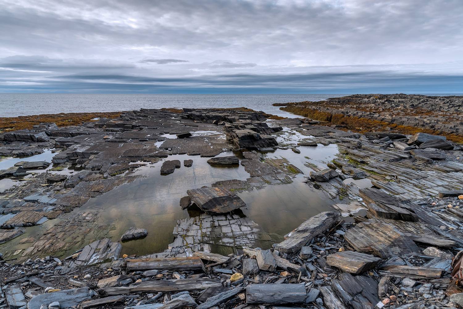 кольский полуостров, п-ов рыбачий, Григорашев Денис
