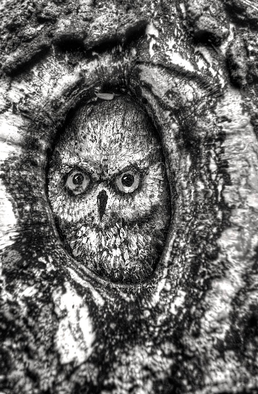 , Сергей Григорьев