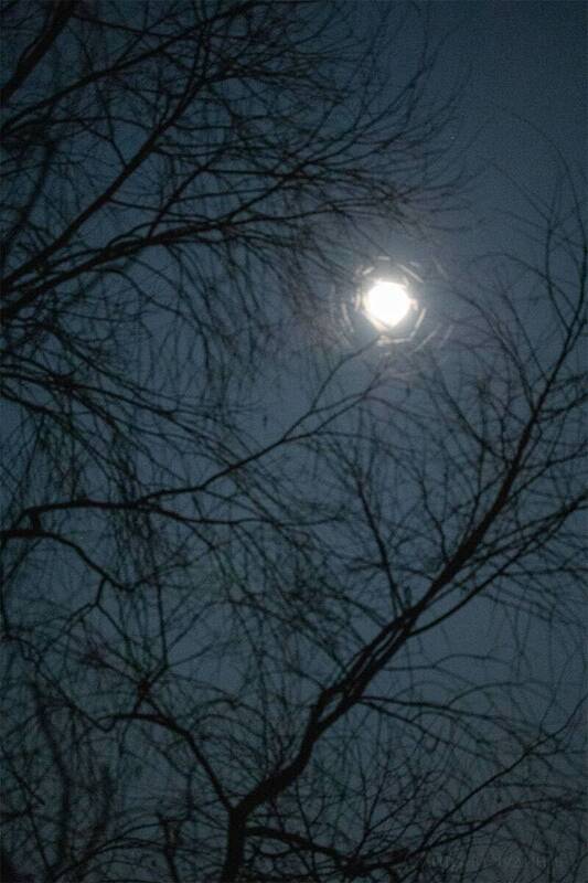 Лунная ночь фото превью