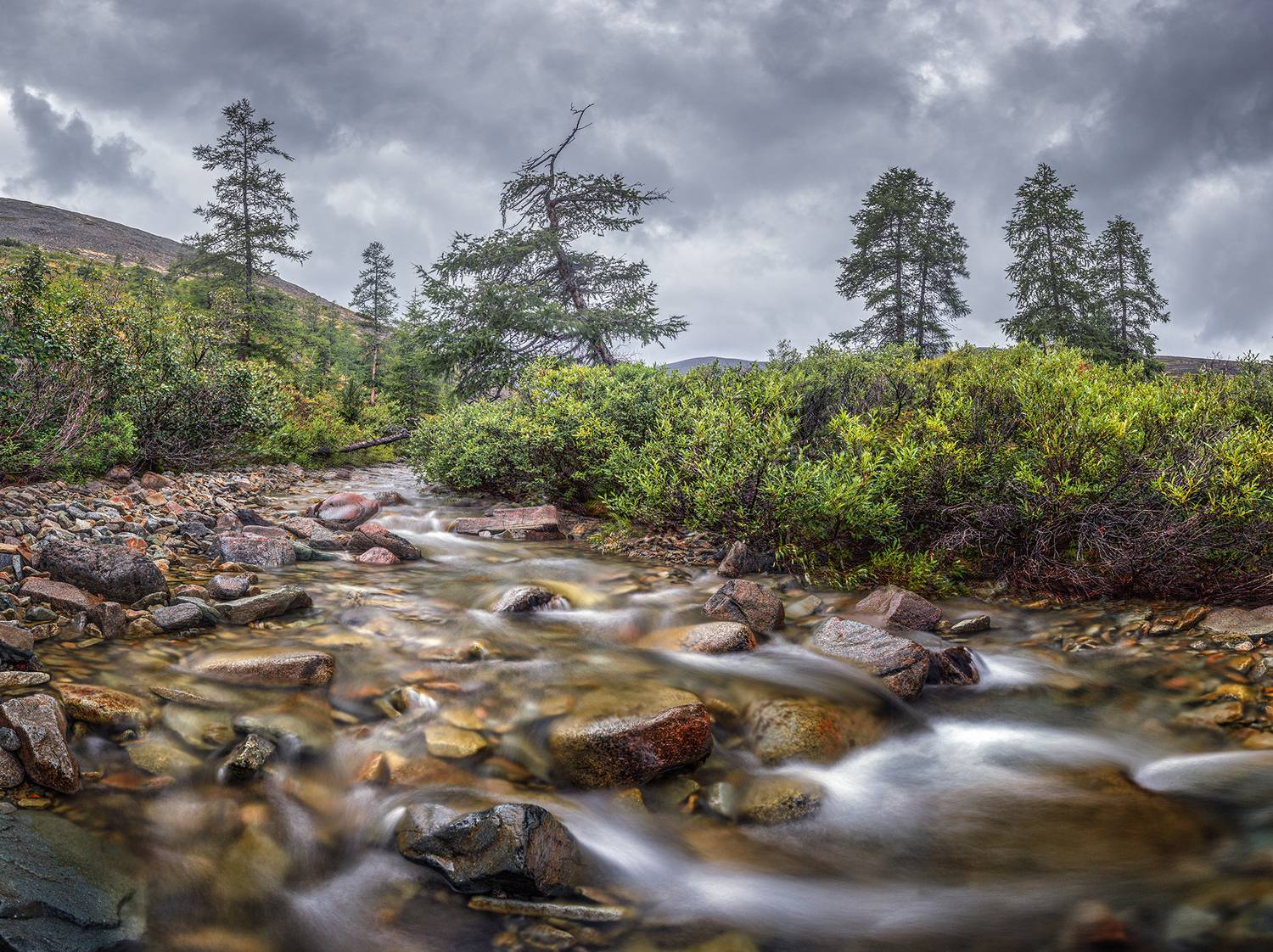 , Андреев Николай