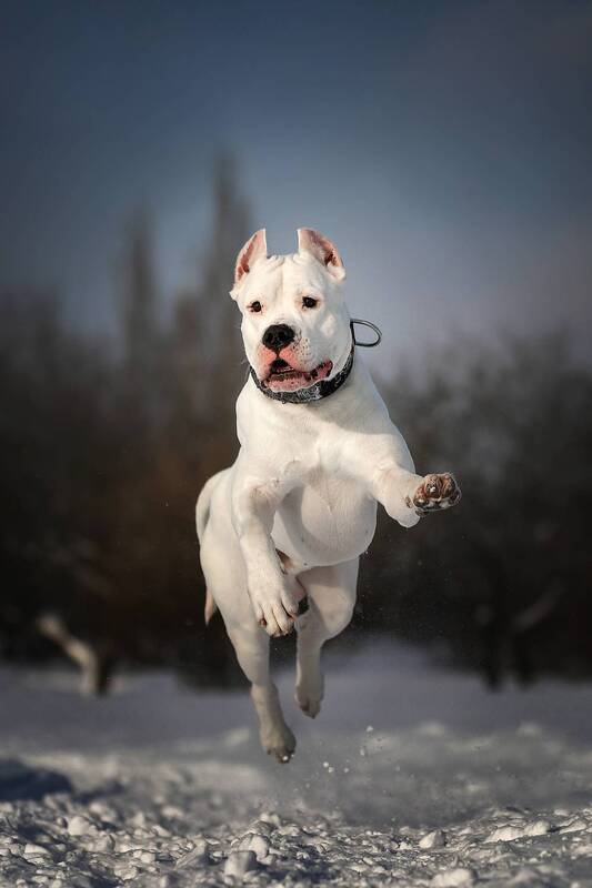 ..... фото превью