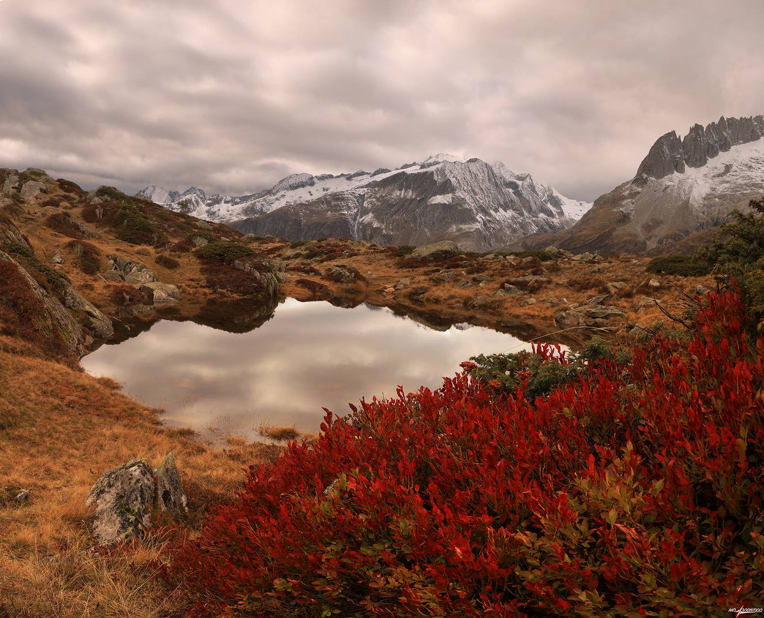 swiss, Матвеев Николай
